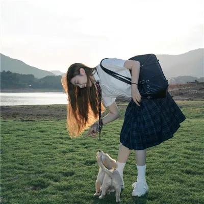 鳄鱼邓迪